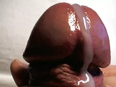 Dans un bureau cosy, un homme à lunettes insère sexe fait maison sa bite dans une blonde
